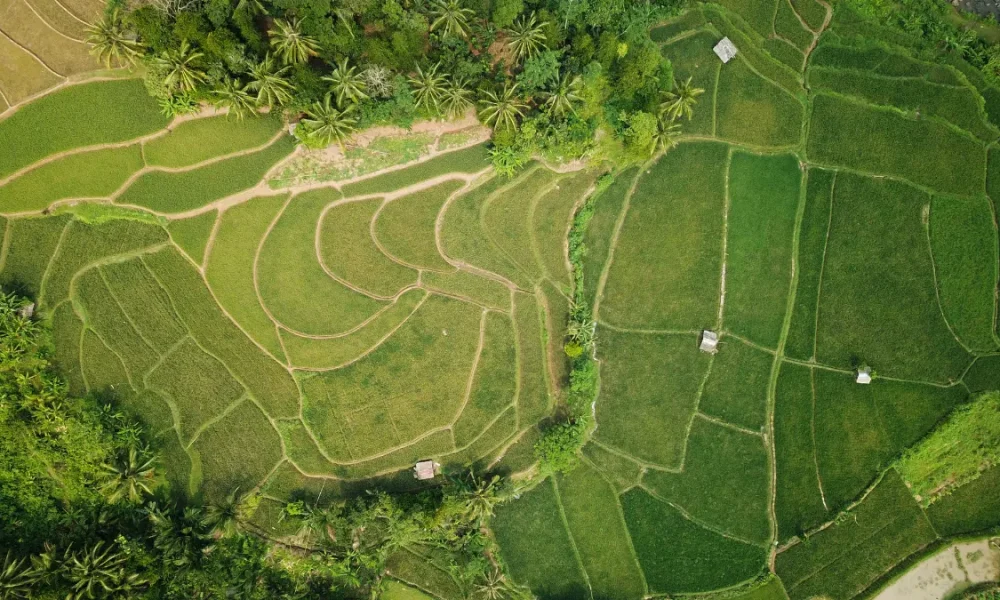 Laser Scanning and Digital Mapping