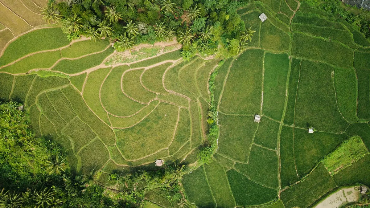 Laser Scanning and Digital Mapping